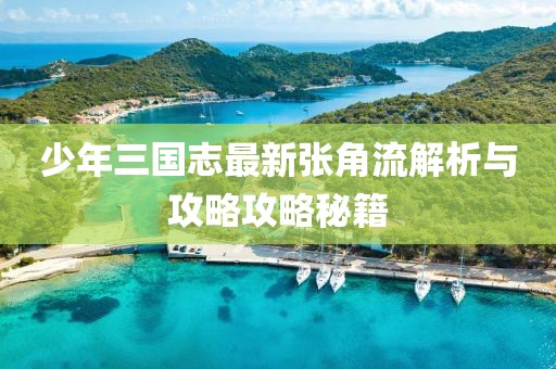 少年三國(guó)志最新張角流解析與攻略攻略秘籍
