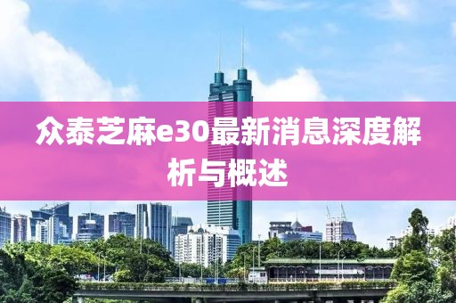眾泰芝麻e30最新消息深度解析與概述