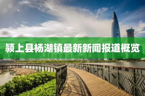 潁上縣楊湖鎮(zhèn)最新新聞報(bào)道概覽