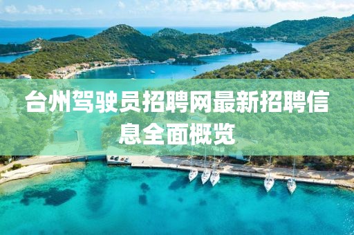 臺(tái)州駕駛員招聘網(wǎng)最新招聘信息全面概覽