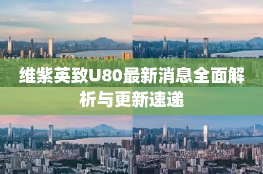 維紫英致U80最新消息全面解析與更新速遞