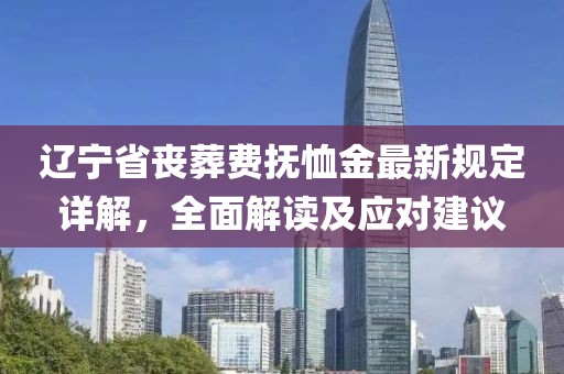 遼寧省喪葬費(fèi)撫恤金最新規(guī)定詳解，全面解讀及應(yīng)對建議