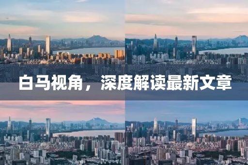 白馬視角，深度解讀最新文章
