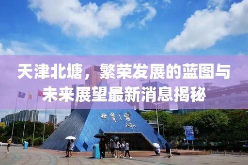 天津北塘，繁榮發(fā)展的藍圖與未來展望最新消息揭秘