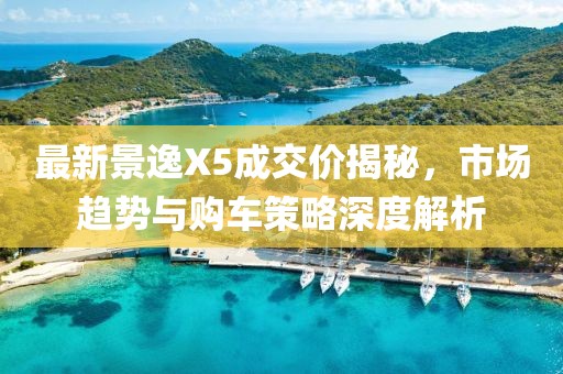 最新景逸X5成交價(jià)揭秘，市場趨勢與購車策略深度解析