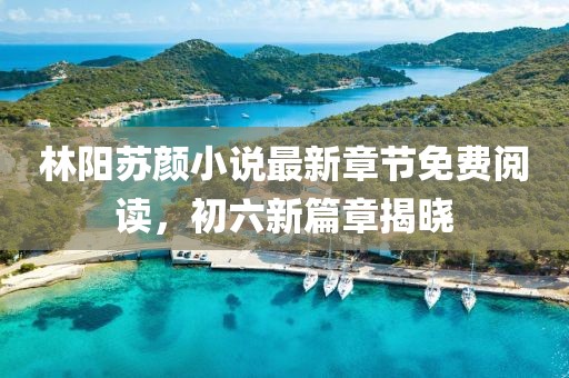 林陽(yáng)蘇顏小說(shuō)最新章節(jié)免費(fèi)閱讀，初六新篇章揭曉