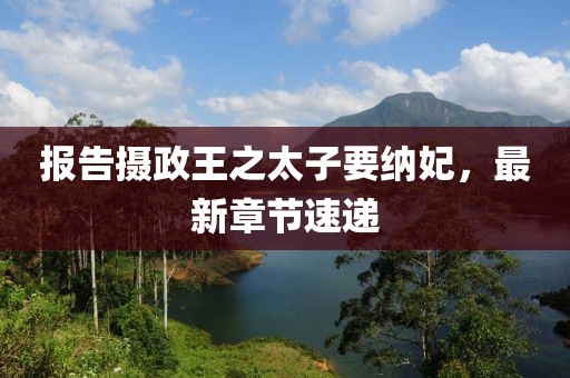 報(bào)告攝政王之太子要納妃，最新章節(jié)速遞