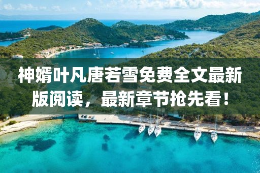 神婿葉凡唐若雪免費全文最新版閱讀，最新章節(jié)搶先看！