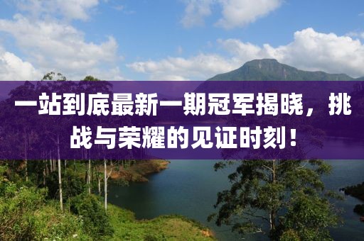 一站到底最新一期冠軍揭曉，挑戰(zhàn)與榮耀的見證時刻！