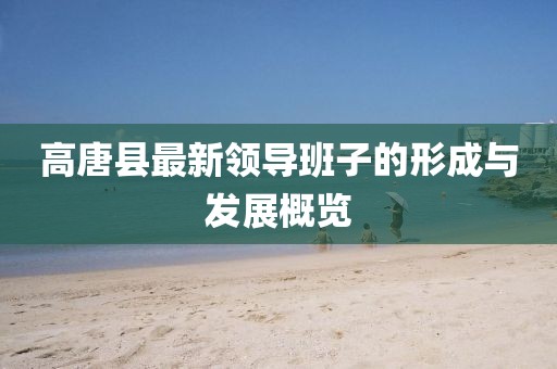 高唐縣最新領(lǐng)導(dǎo)班子的形成與發(fā)展概覽