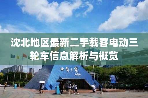 沈北地區(qū)最新二手載客電動三輪車信息解析與概覽