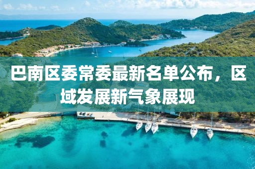 巴南區(qū)委常委最新名單公布，區(qū)域發(fā)展新氣象展現(xiàn)