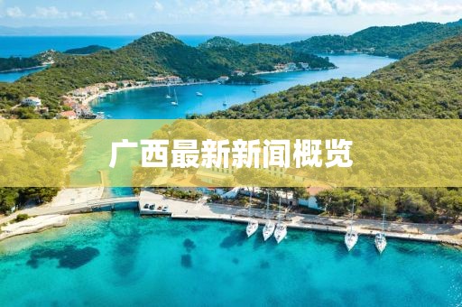 廣西最新新聞概覽