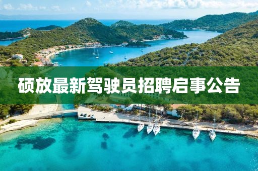 碩放最新駕駛員招聘啟事公告