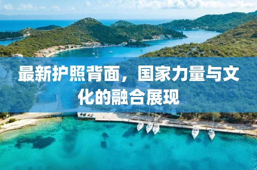 最新護(hù)照背面，國家力量與文化的融合展現(xiàn)