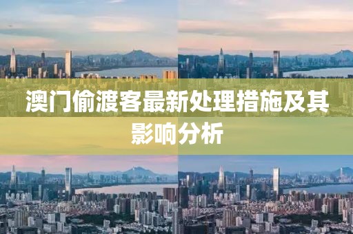 澳門偷渡客最新處理措施及其影響分析