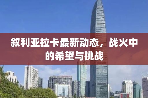 敘利亞拉卡最新動(dòng)態(tài)，戰(zhàn)火中的希望與挑戰(zhàn)