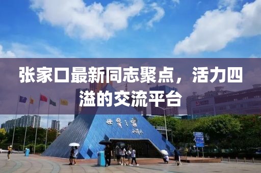 張家口最新同志聚點(diǎn)，活力四溢的交流平臺(tái)