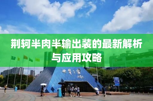 荊軻半肉半輸出裝的最新解析與應(yīng)用攻略