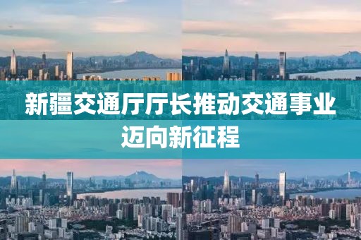 新疆交通廳廳長推動(dòng)交通事業(yè)邁向新征程