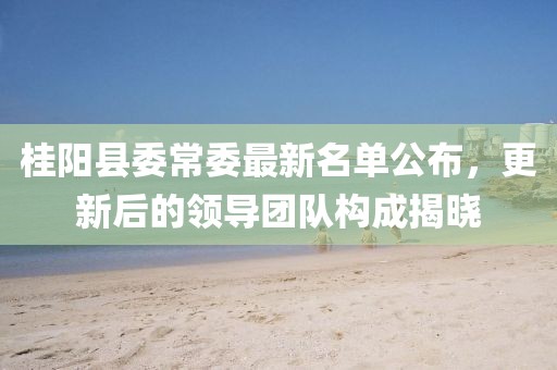 桂陽縣委常委最新名單公布，更新后的領(lǐng)導(dǎo)團(tuán)隊(duì)構(gòu)成揭曉