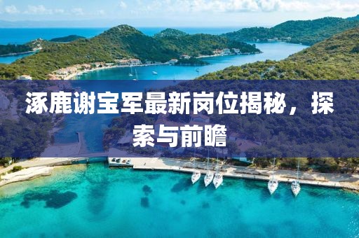 涿鹿謝寶軍最新崗位揭秘，探索與前瞻