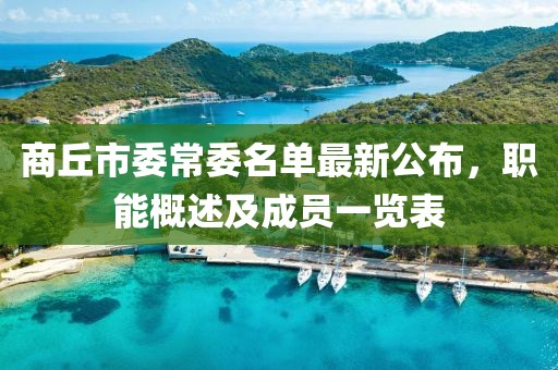商丘市委常委名單最新公布，職能概述及成員一覽表