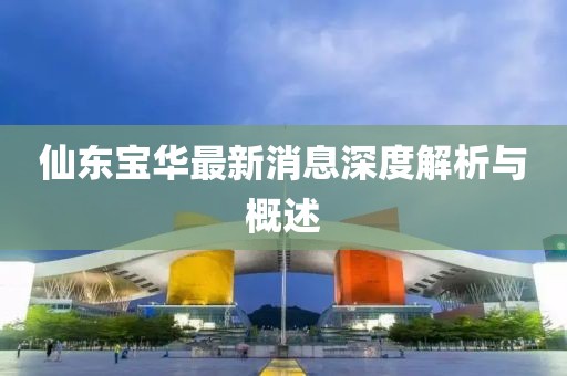 仙東寶華最新消息深度解析與概述