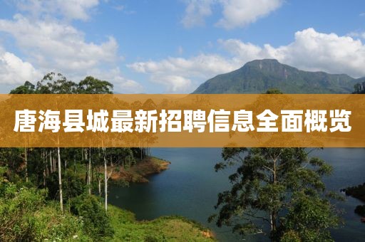 唐?？h城最新招聘信息全面概覽