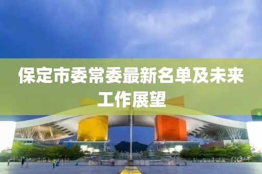 保定市委常委最新名單及未來工作展望
