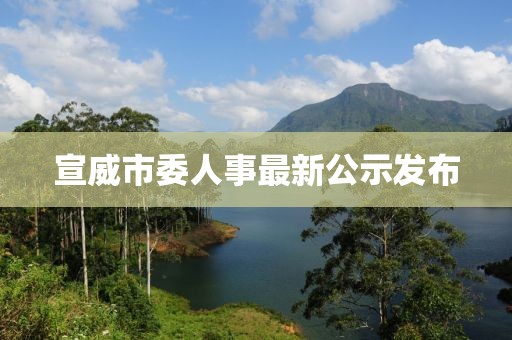 宣威市委人事最新公示發(fā)布
