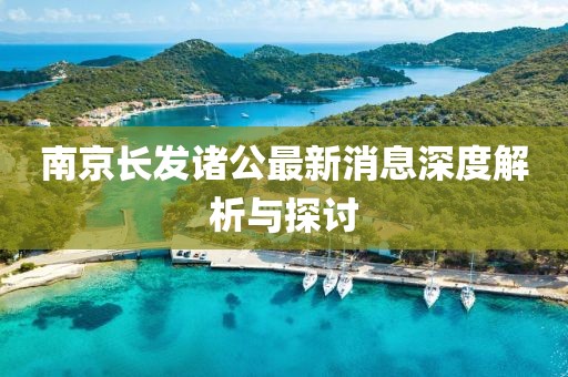 南京長發(fā)諸公最新消息深度解析與探討