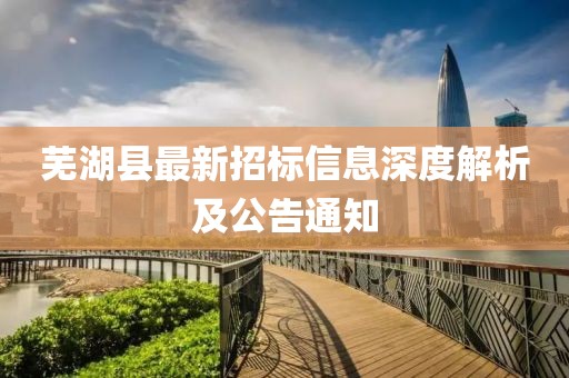 蕪湖縣最新招標(biāo)信息深度解析及公告通知