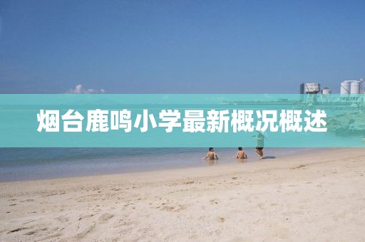 煙臺鹿鳴小學(xué)最新概況概述