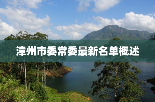 漳州市委常委最新名單概述