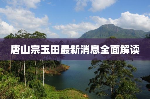 唐山宗玉田最新消息全面解讀
