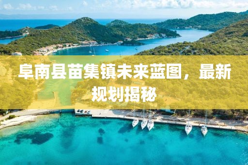阜南縣苗集鎮(zhèn)未來藍(lán)圖，最新規(guī)劃揭秘