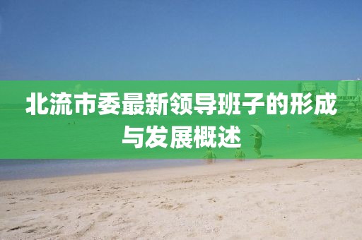 北流市委最新領(lǐng)導(dǎo)班子的形成與發(fā)展概述