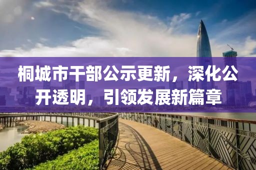 桐城市干部公示更新，深化公開(kāi)透明，引領(lǐng)發(fā)展新篇章