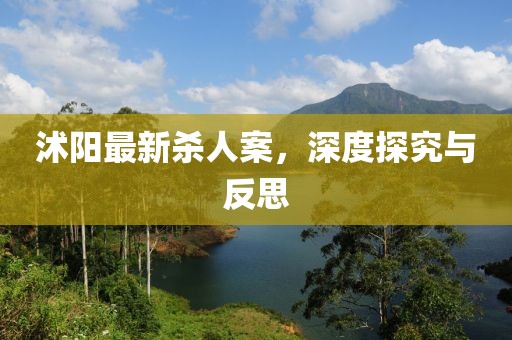 沭陽(yáng)最新殺人案，深度探究與反思