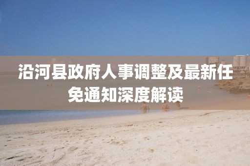 沿河縣政府人事調(diào)整及最新任免通知深度解讀