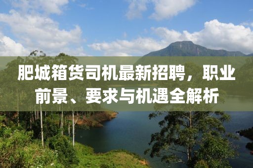 肥城箱貨司機(jī)最新招聘，職業(yè)前景、要求與機(jī)遇全解析