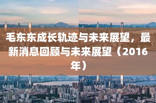 毛東東成長軌跡與未來展望，最新消息回顧與未來展望（2016年）
