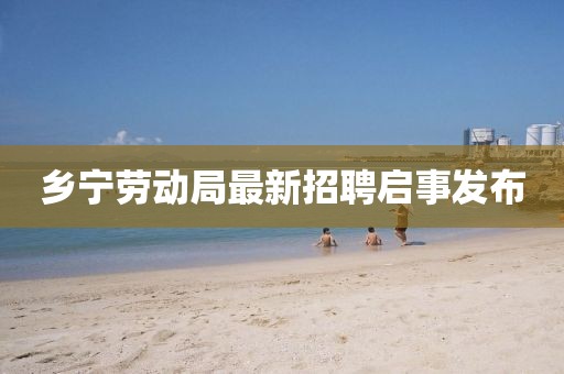鄉(xiāng)寧勞動(dòng)局最新招聘啟事發(fā)布