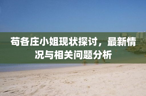 茍各莊小姐現(xiàn)狀探討，最新情況與相關(guān)問題分析