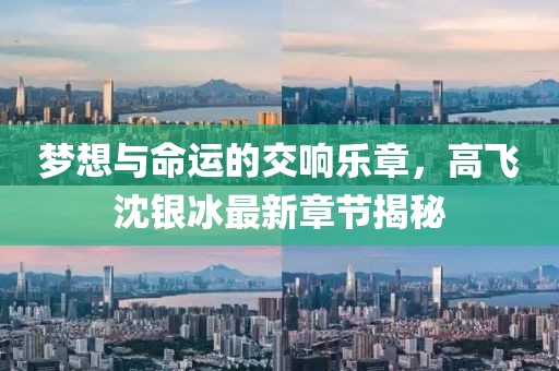 夢(mèng)想與命運(yùn)的交響樂(lè)章，高飛沈銀冰最新章節(jié)揭秘