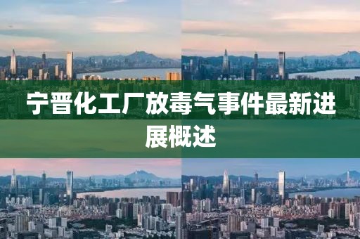 寧晉化工廠放毒氣事件最新進展概述
