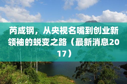 芮成鋼，從央視名嘴到創(chuàng)業(yè)新領袖的蛻變之路（最新消息2017）