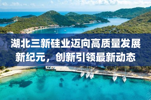 湖北三新硅業(yè)邁向高質(zhì)量發(fā)展新紀(jì)元，創(chuàng)新引領(lǐng)最新動(dòng)態(tài)