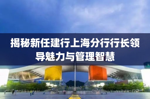 揭秘新任建行上海分行行長領導魅力與管理智慧